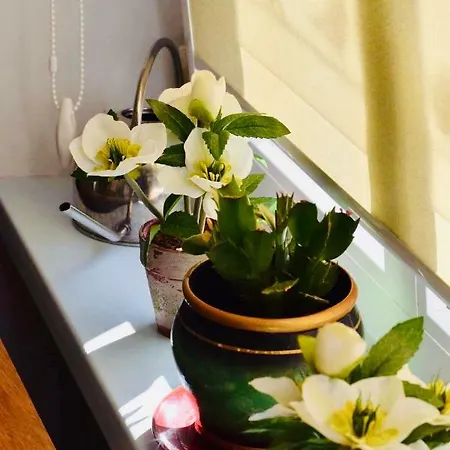 Apartment In Der Altstadt